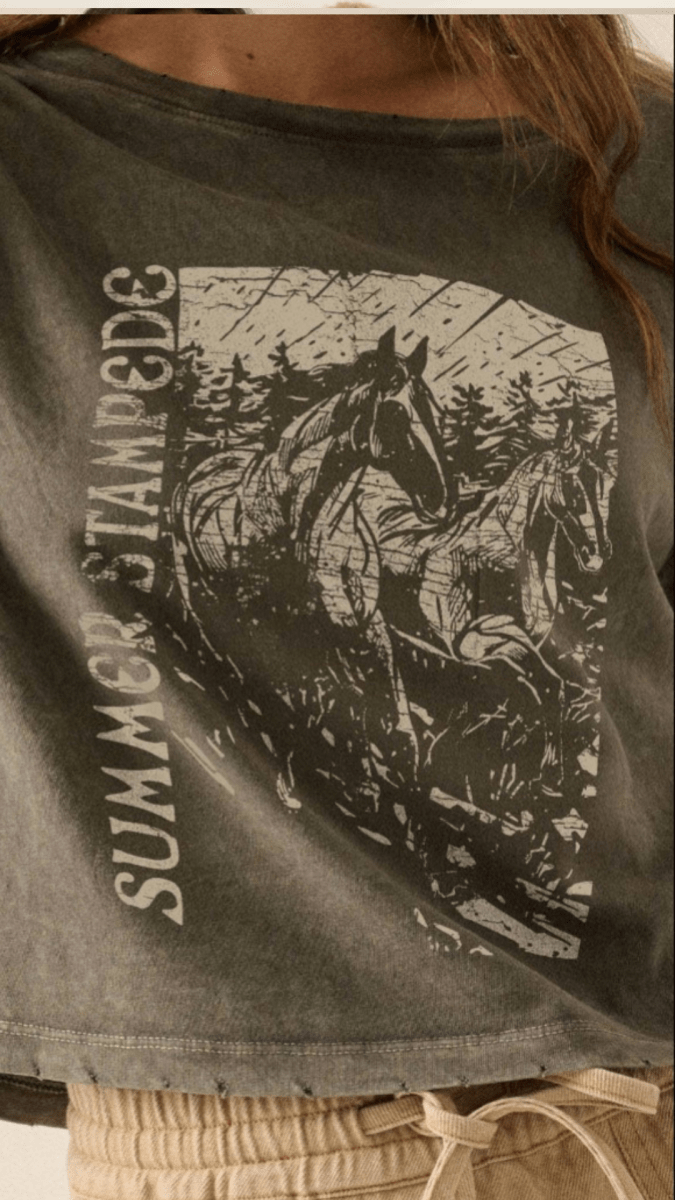 Summer Stampede graphic tee with vintage horse print and cropped fit