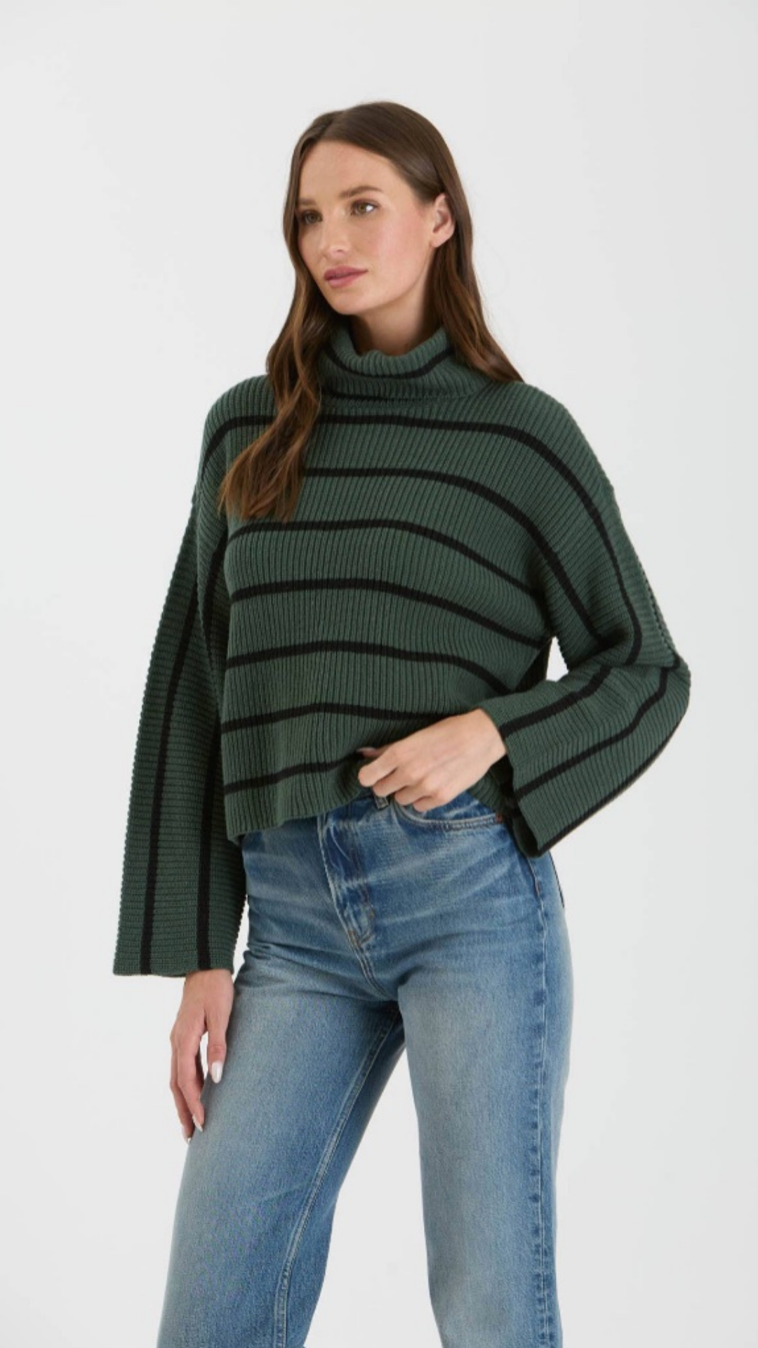 STRIPE TURTLENECK LONG WIDE SLEEVE KNIT SWEATER
