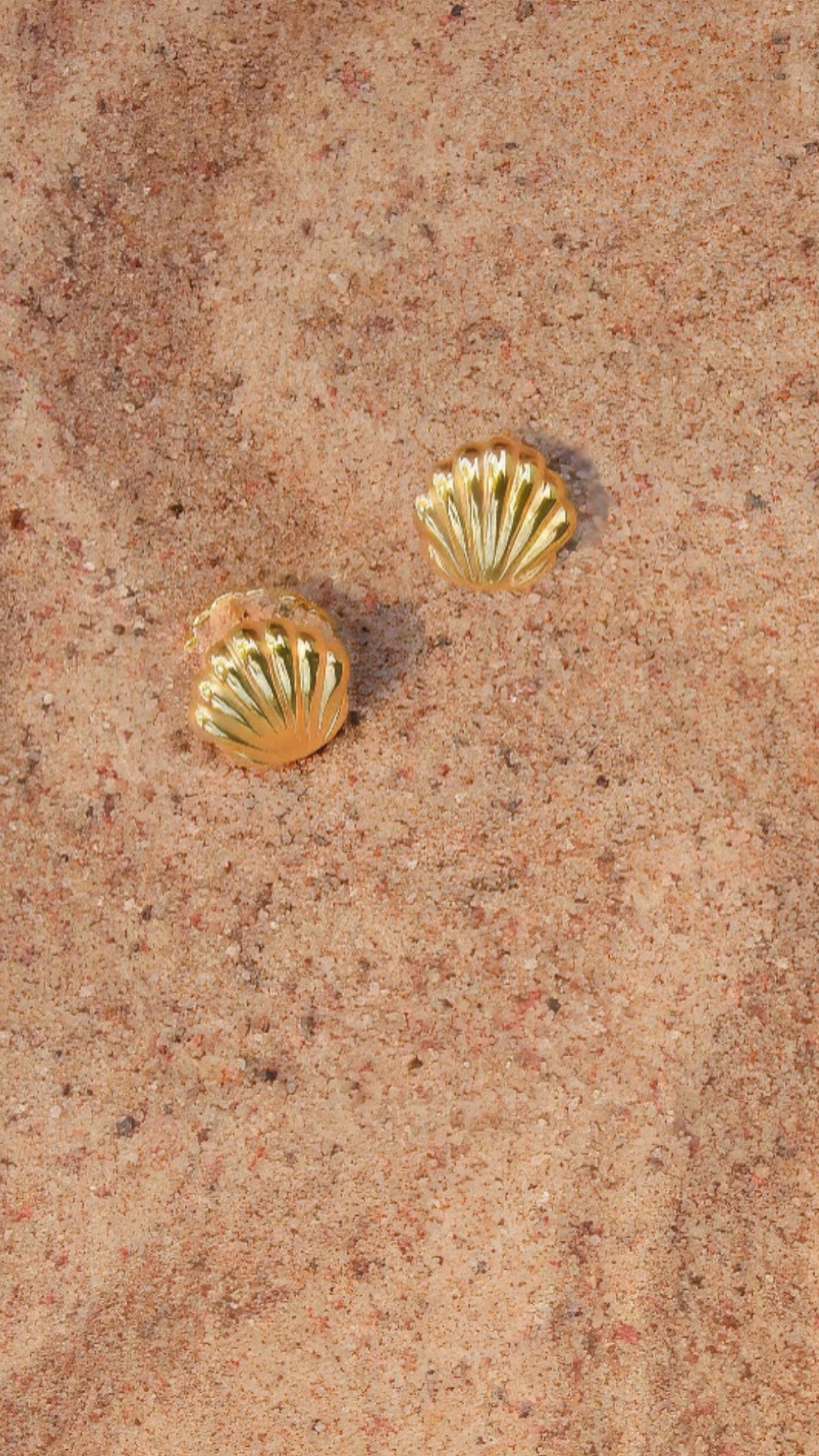 Gold sea shell stud earings